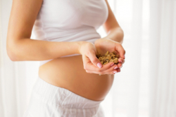 Omega 3, microbioma y dieta de la embarazada