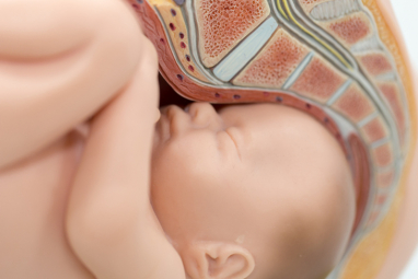 Situación de la placenta en el útero