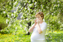Distingue entre alergia y Covid estando embarazada